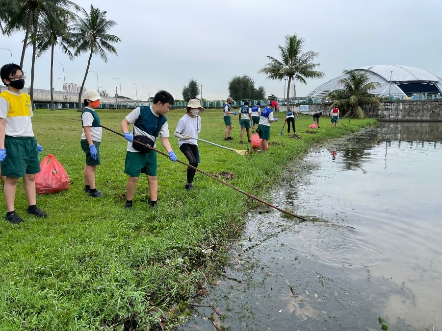 Pupils picking up litter around the vicinity.